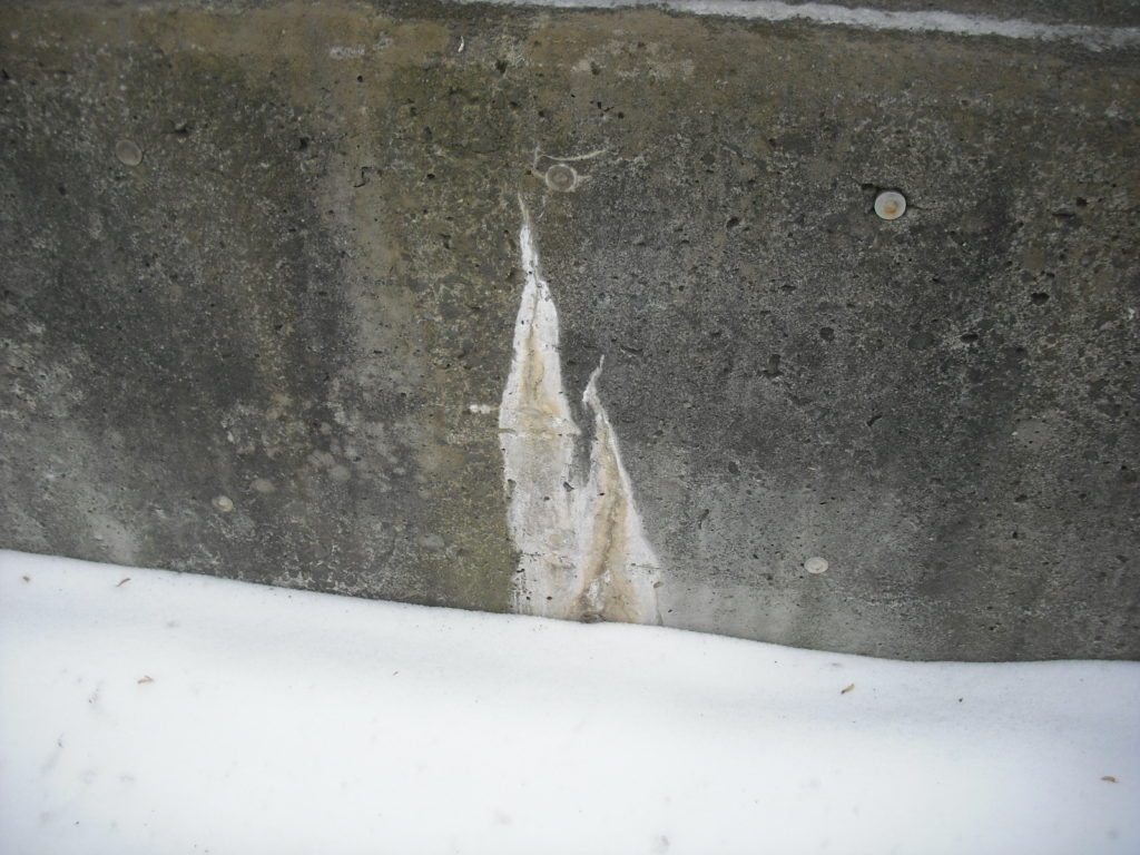 コンクリート壁にコケやカビが生える原因と正しい清掃方法 Cmc