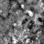 セメントの成分とその水和機構