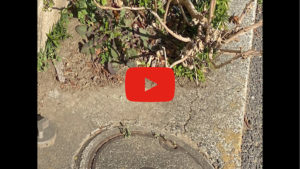 【動画】大きな問題はないひび割れの対応方法についての解説